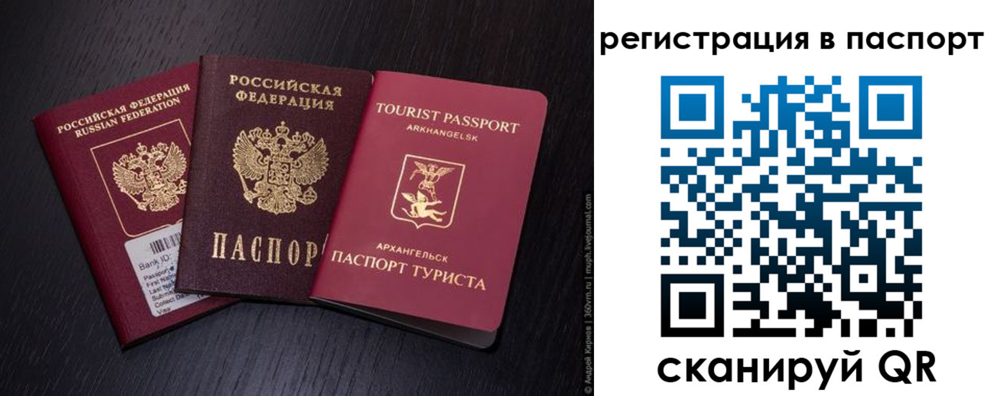 прописка в квартире в Суворове